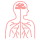 noun-nervous-system icon